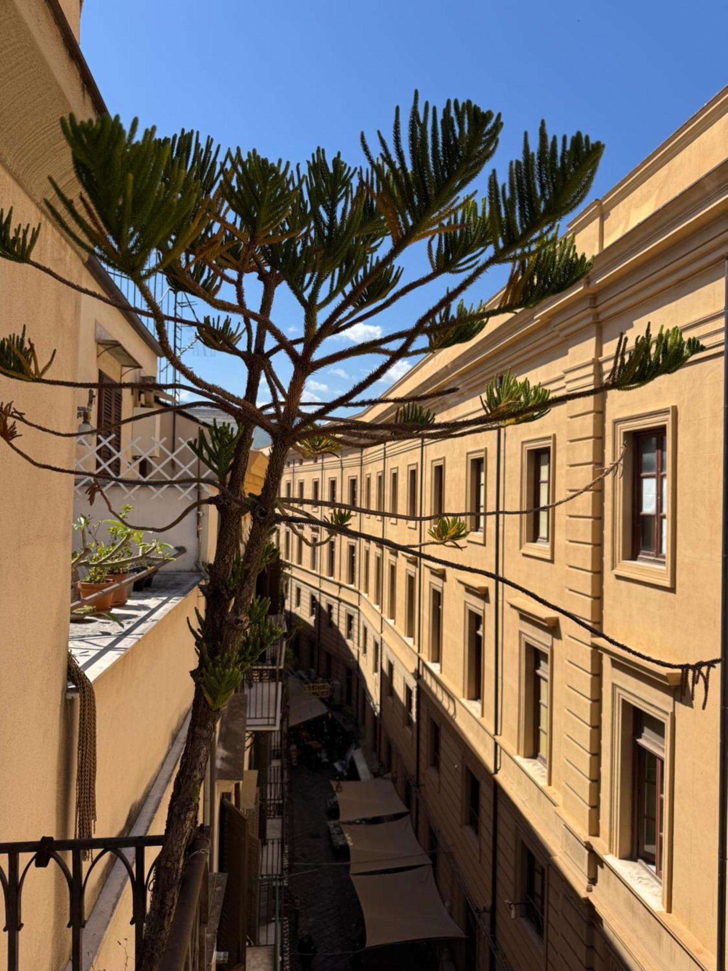Dimora San Domenico, Palermo